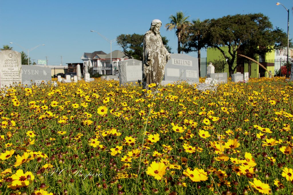 galveston historic home tours 2022